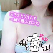 ヒメ日記 2025/10/17 07:47 投稿 あん トマトなび