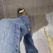 ヒメ日記 2025/10/18 06:15 投稿 あん トマトなび