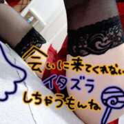 ヒメ日記 2025/10/21 07:25 投稿 あん トマトなび