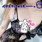 ヒメ日記 2025/10/22 07:44 投稿 あん トマトなび