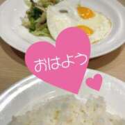 ヒメ日記 2025/10/23 07:42 投稿 あん トマトなび