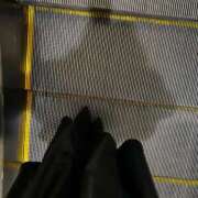 ヒメ日記 2025/10/24 06:38 投稿 あん トマトなび