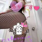 ヒメ日記 2025/10/24 07:40 投稿 あん トマトなび