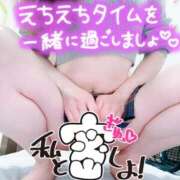 ヒメ日記 2025/10/27 06:53 投稿 あん トマトなび