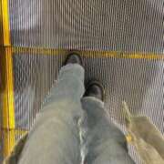 ヒメ日記 2025/10/29 06:16 投稿 あん トマトなび