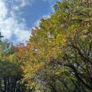 ヒメ日記 2025/10/30 11:08 投稿 あん トマトなび