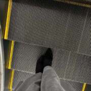 ヒメ日記 2025/11/01 06:13 投稿 あん トマトなび