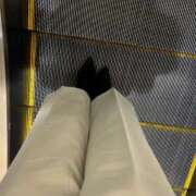 ヒメ日記 2025/11/03 06:21 投稿 あん トマトなび