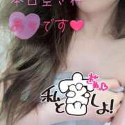 ヒメ日記 2025/11/03 07:00 投稿 あん トマトなび