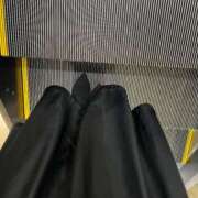 ヒメ日記 2025/11/04 06:44 投稿 あん トマトなび