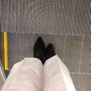 ヒメ日記 2025/11/07 06:49 投稿 あん トマトなび