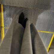 ヒメ日記 2025/11/08 06:18 投稿 あん トマトなび