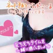 ヒメ日記 2025/11/08 07:53 投稿 あん トマトなび