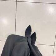 ヒメ日記 2025/11/10 06:29 投稿 あん トマトなび