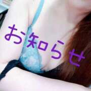 ヒメ日記 2025/11/10 08:19 投稿 あん トマトなび