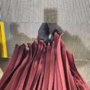 ヒメ日記 2025/11/12 06:17 投稿 あん トマトなび