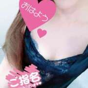 ヒメ日記 2025/11/17 07:53 投稿 あん トマトなび