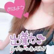 ヒメ日記 2025/11/18 08:02 投稿 あん トマトなび