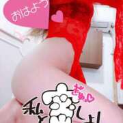 ヒメ日記 2025/11/22 07:57 投稿 あん トマトなび