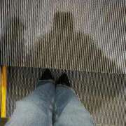 ヒメ日記 2025/11/25 06:15 投稿 あん トマトなび