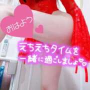 ヒメ日記 2025/11/25 08:06 投稿 あん トマトなび