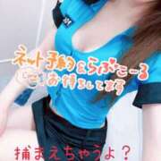 ヒメ日記 2025/11/26 08:01 投稿 あん トマトなび