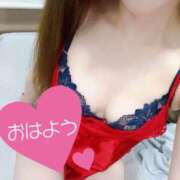 ヒメ日記 2025/12/02 08:07 投稿 あん トマトなび