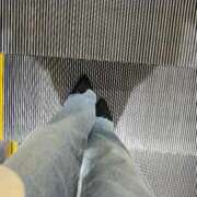 ヒメ日記 2025/12/03 06:47 投稿 あん トマトなび