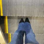 ヒメ日記 2025/12/06 06:17 投稿 あん トマトなび