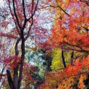 ヒメ日記 2025/12/07 12:35 投稿 あん トマトなび