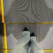 ヒメ日記 2025/12/09 06:39 投稿 あん トマトなび