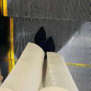 ヒメ日記 2025/12/11 07:06 投稿 あん トマトなび