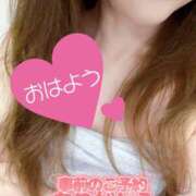 ヒメ日記 2025/12/16 06:40 投稿 あん トマトなび