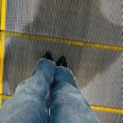 ヒメ日記 2025/12/17 07:16 投稿 あん トマトなび