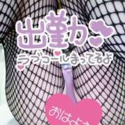 ヒメ日記 2025/12/17 07:50 投稿 あん トマトなび