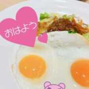 ヒメ日記 2025/12/18 07:58 投稿 あん トマトなび