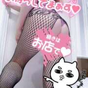 ヒメ日記 2025/12/28 17:15 投稿 あん トマトなび