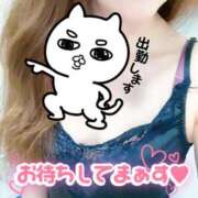 ヒメ日記 2025/12/29 19:19 投稿 あん トマトなび