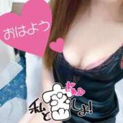 ヒメ日記 2026/01/07 06:30 投稿 あん トマトなび