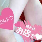 あん 出勤しました トマトなび