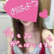 ヒメ日記 2026/01/27 08:00 投稿 あん トマトなび