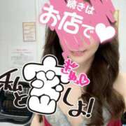 ヒメ日記 2026/01/28 07:48 投稿 あん トマトなび