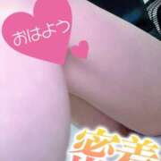 ヒメ日記 2026/02/03 08:02 投稿 あん トマトなび