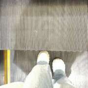 ヒメ日記 2026/02/13 06:43 投稿 あん トマトなび