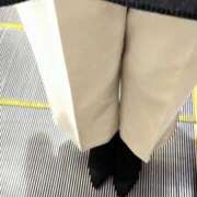 ヒメ日記 2026/02/14 06:27 投稿 あん トマトなび