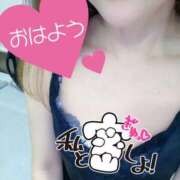 ヒメ日記 2026/02/17 07:50 投稿 あん トマトなび