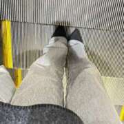 ヒメ日記 2026/02/20 06:54 投稿 あん トマトなび