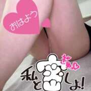 ヒメ日記 2026/02/25 07:44 投稿 あん トマトなび