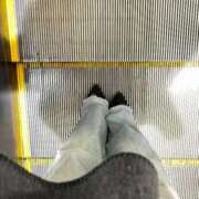 ヒメ日記 2026/02/28 06:48 投稿 あん トマトなび