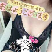 ヒメ日記 2026/02/28 07:40 投稿 あん トマトなび